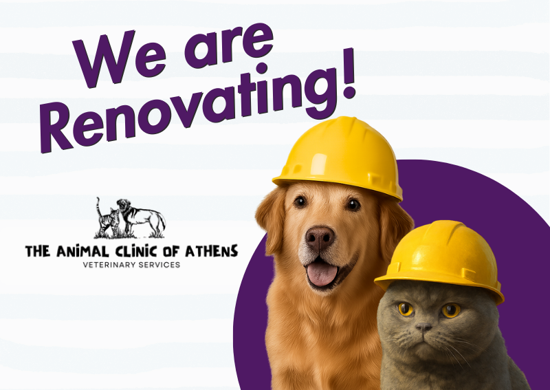 Carousel Slide 1: Learn More >>